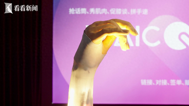 00后实习生“总工”，想做怎样的人工智能？